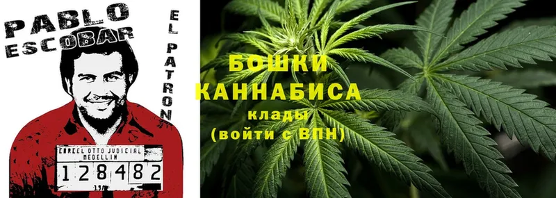 купить наркоту  Дивногорск  Марихуана OG Kush 